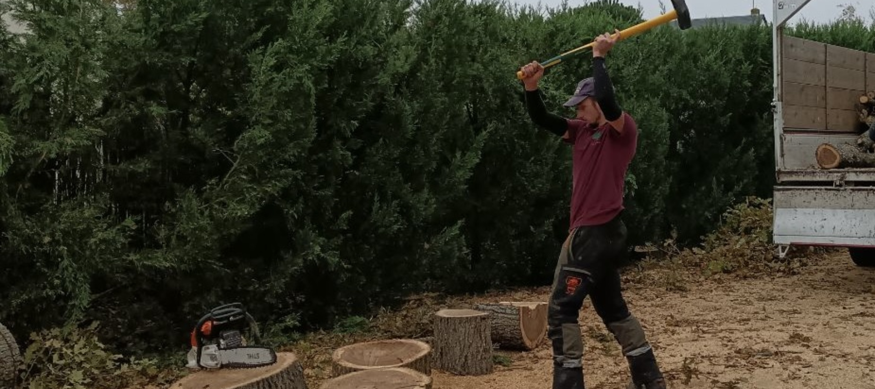 Fox Élagage : abattage arbre à Saint-Avertin & Saint-Cyr en Indre-et-Loire (37)