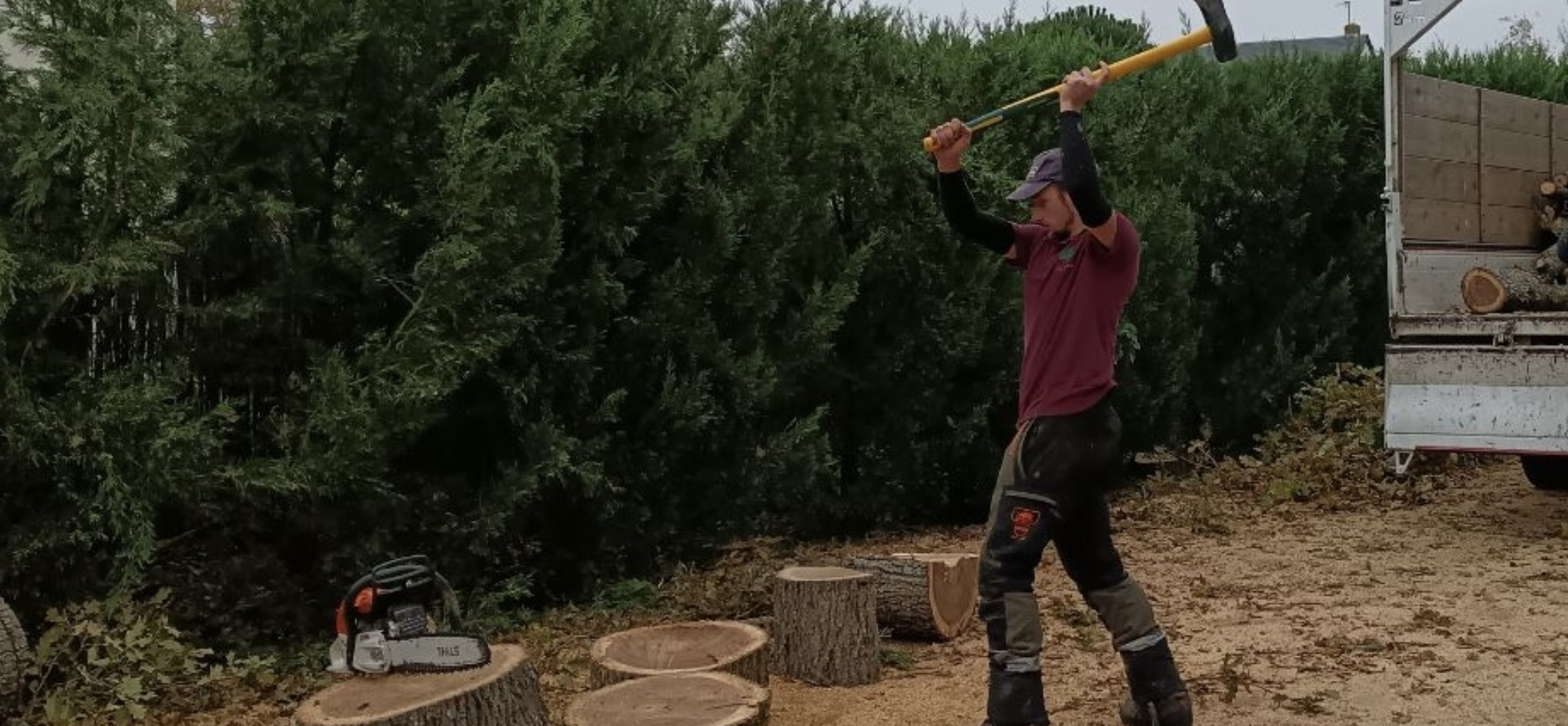 Fox Élagage : démontage arbre à Saint-Avertin & Saint-Cyr en Indre-et-Loire (37)