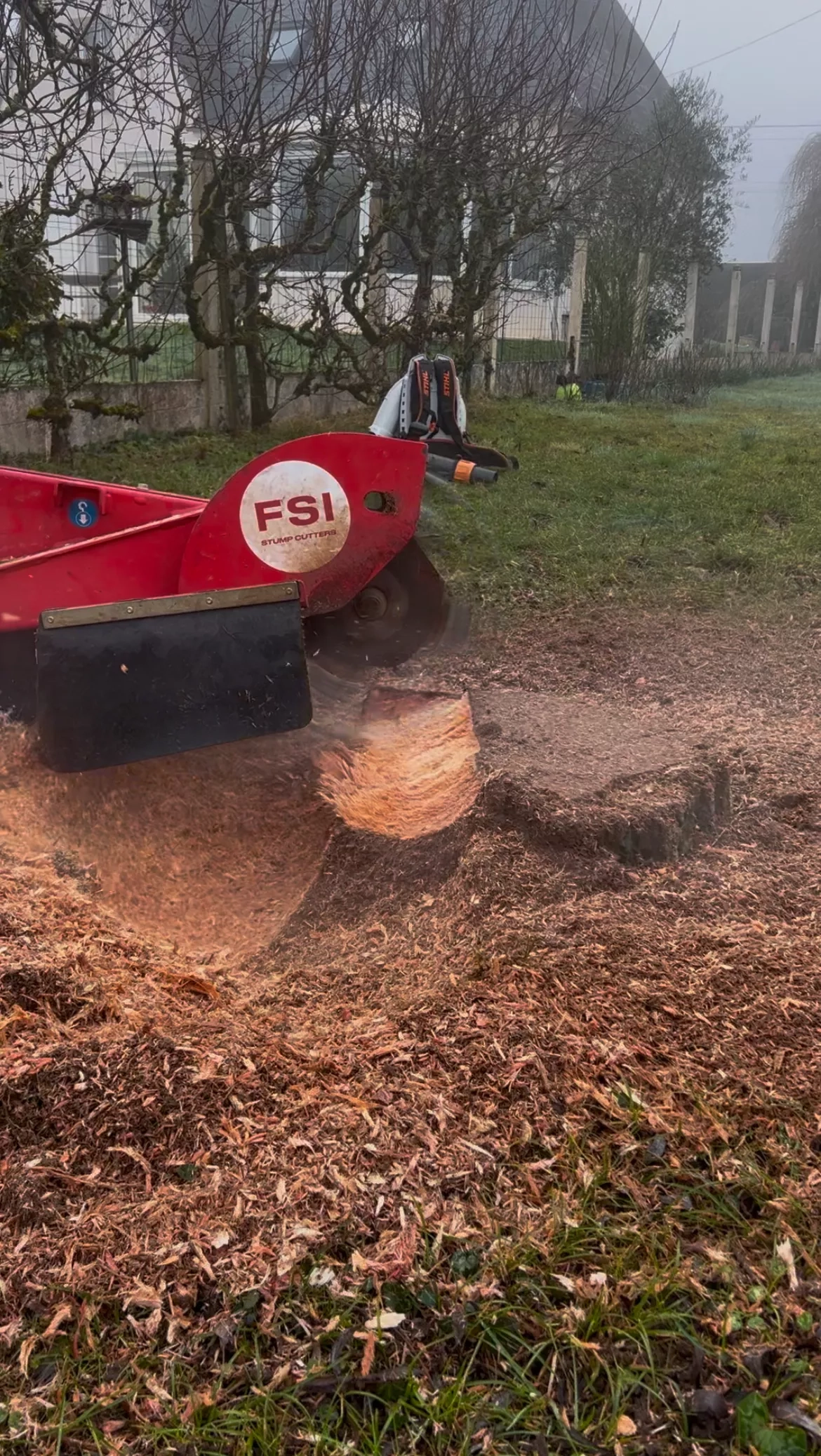 Fox Élagage : abattage à Saint-Avertin & Saint-Cyr en Indre-et-Loire (37)